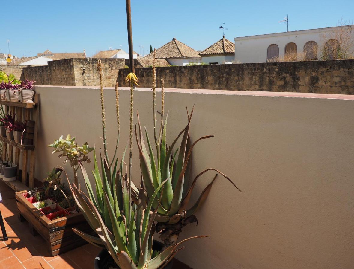 Apartamento En Juderia La Murallita กอร์โดบา ภายนอก รูปภาพ